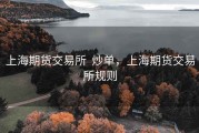 上海期货交易所  炒单，上海期货交易所规则