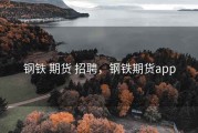 钢铁 期货 招聘，钢铁期货app