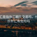 炒外汇是指外汇期货交易吗，什么叫炒外汇有危险吗