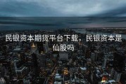 民银资本期货平台下载，民银资本是仙股吗