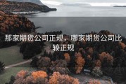 那家期货公司正规，哪家期货公司比较正规