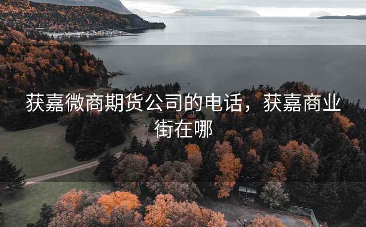 获嘉微商期货公司的电话，获嘉商业街在哪