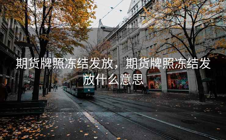 期货牌照冻结发放，期货牌照冻结发放什么意思