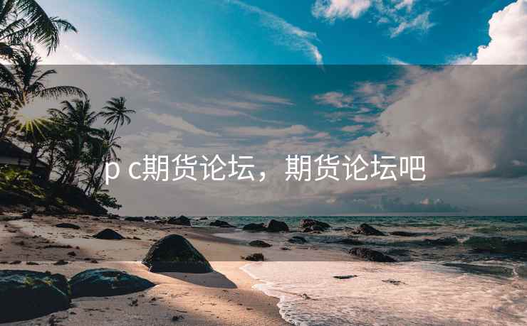 p c期货论坛，期货论坛吧