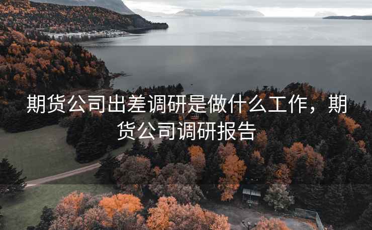 期货公司出差调研是做什么工作，期货公司调研报告