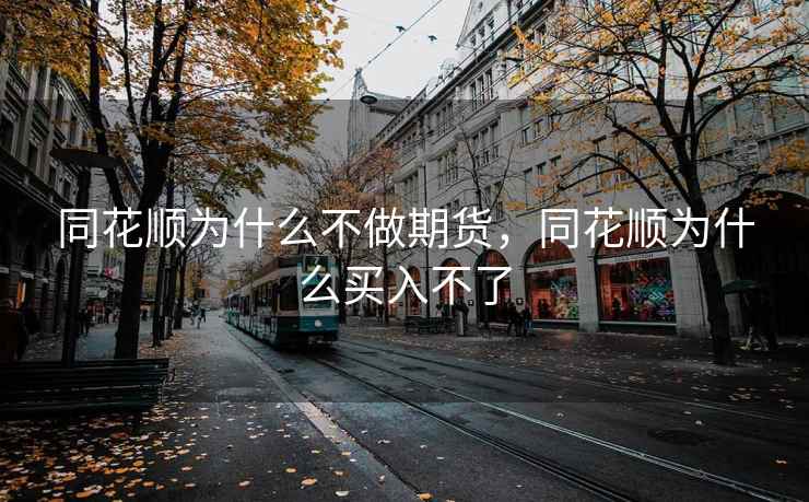 同花顺为什么不做期货，同花顺为什么买入不了