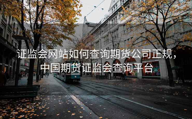 证监会网站如何查询期货公司正规，中国期货证监会查询平台